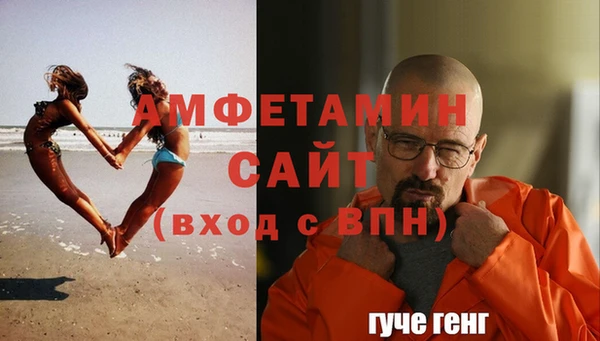 прущие грибы Вязники